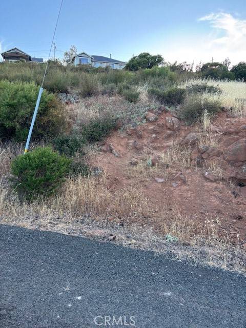 Kelseyville, CA 95451,5541 Sioux Court