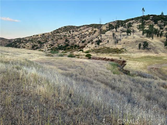 Lower Lake, CA 95457,22368 Jerusalem Grade