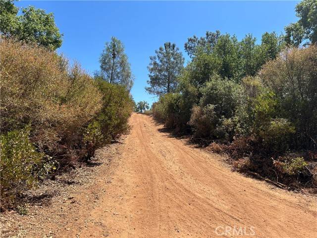 Lower Lake, CA 95457,8860 Highway 29