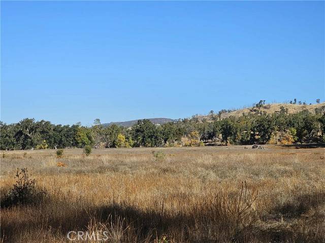 Lower Lake, CA 95457,17680 Morgan Valley Road