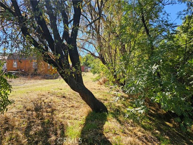 Lower Lake, CA 95457,16165 Florence