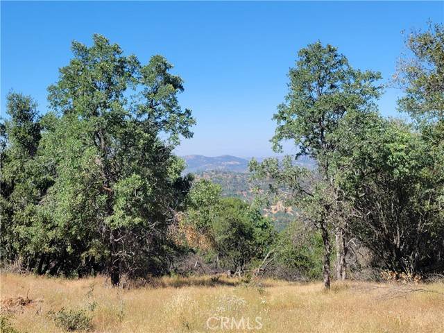 Mariposa, CA 95338,5587 Alta Vista Road