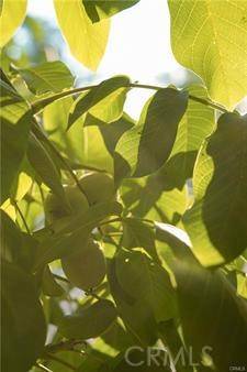 Merced, CA 95341,1081 E Gerard Avenue