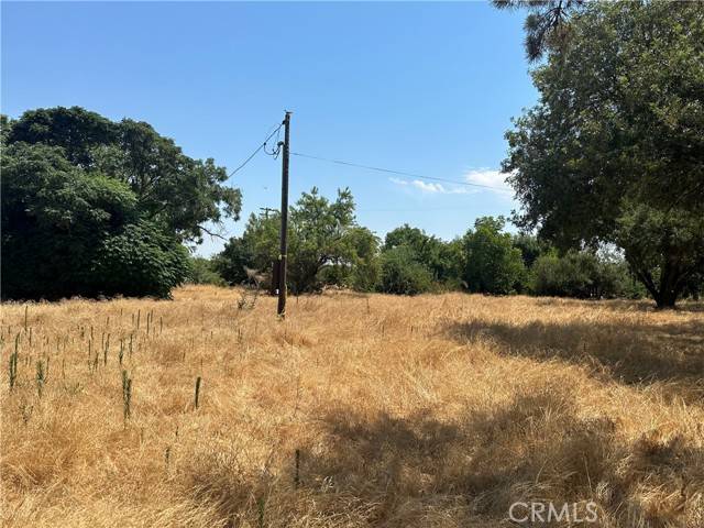 Chowchilla, CA 93610,6787 Ave 23 1/2