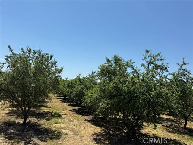 Livingston, CA 95334,0 Sunset Cut / Cutoff