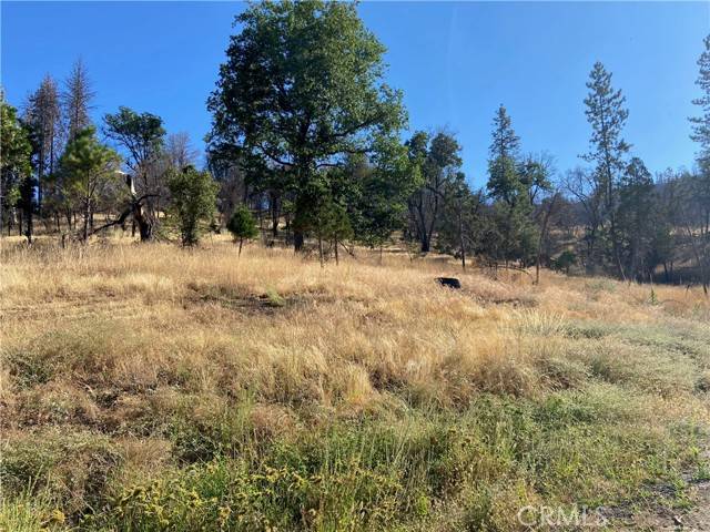 Mariposa, CA 95338,3154 Wild Dove Lane