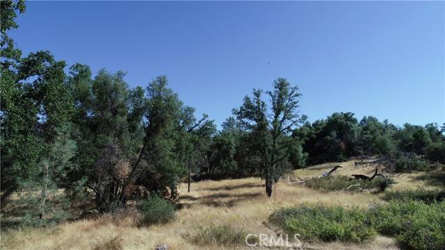 Mariposa, CA 95338,5325 Schafer Road