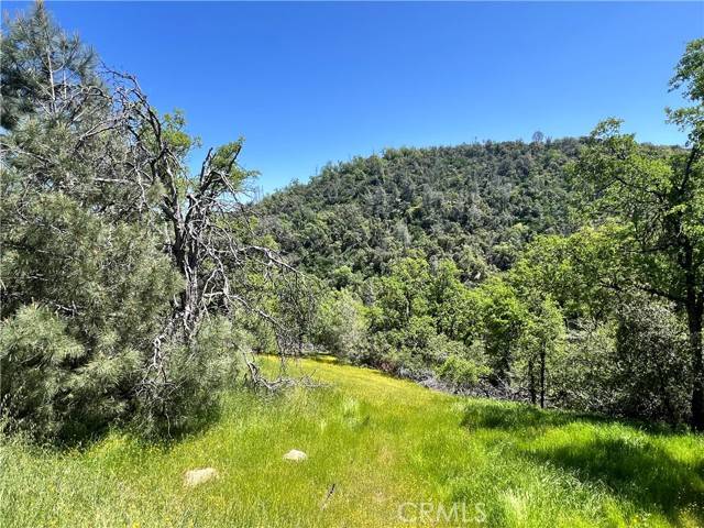 Mariposa, CA 95338,0 Lakeside Drive