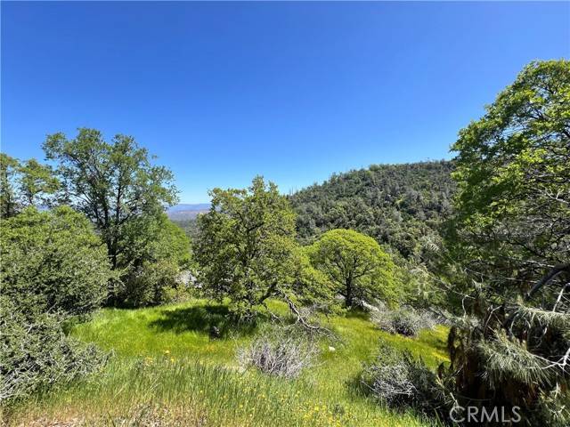 Mariposa, CA 95338,0 Lakeside Drive