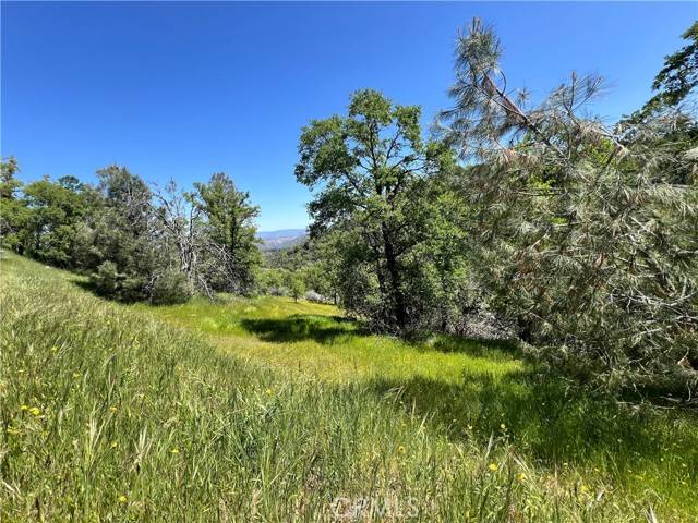 Mariposa, CA 95338,0 Lakeside Drive