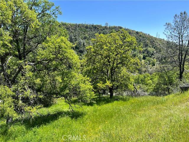 Mariposa, CA 95338,0 Lakeside Drive