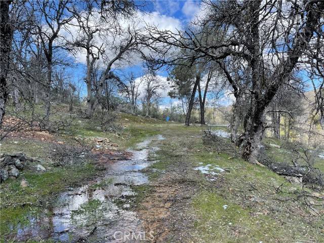 Mariposa, CA 95338,5799 Corey Pines Road