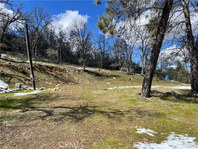 Mariposa, CA 95338,5799 Corey Pines Road