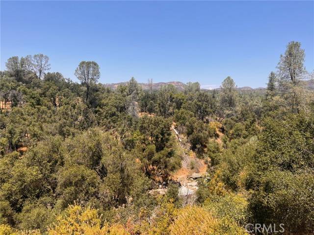 Mariposa, CA 95338,3993 Snow Creek Road