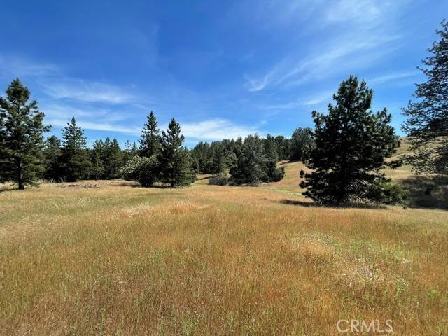 Mariposa, CA 95338,0 Triangle Road