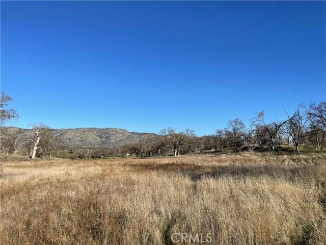 Catheys Valley, CA 95306,5 Tinkers Penny Lane