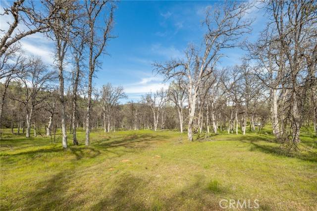Mariposa, CA 95338,5328 E Whitlock Road