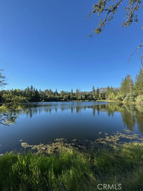 Mariposa, CA 95338,5615 Silver Strand Fall