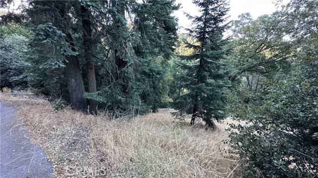 Cedarpines Park, CA 92322,0 Fir