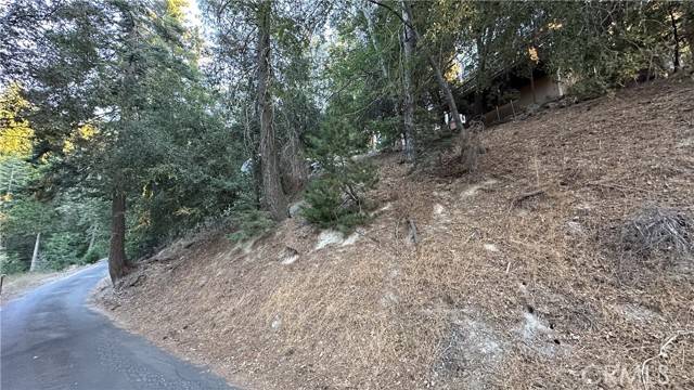 Twin Peaks, CA 92391,0 Mid Lane