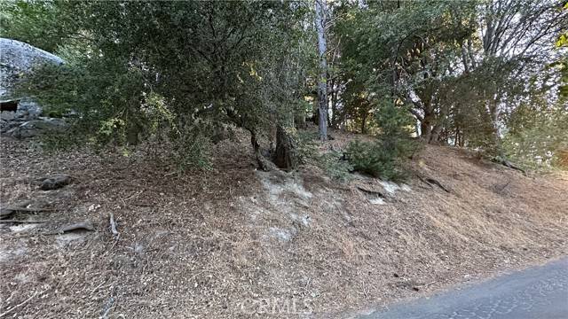 Twin Peaks, CA 92391,0 Mid Lane