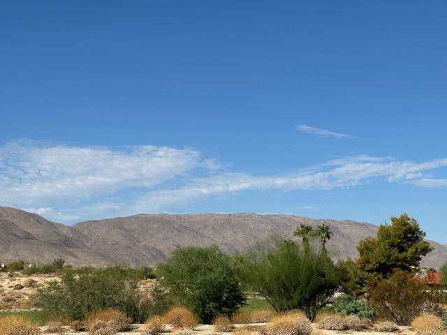 Borrego Springs, CA 92004,0 Roadrunner Drive