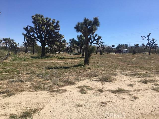 Yucca Valley, CA 92284,7199 Grand Avenue