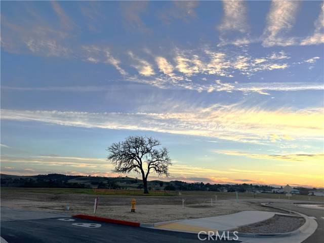 Paso Robles, CA 93446,0 Wisteria Lane