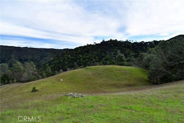 Templeton, CA 93465,0 Cypress Mountain Drive