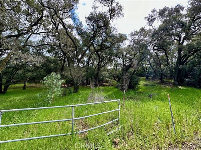 Trabuco Canyon, CA 92679,19334 Live Oak Canyon