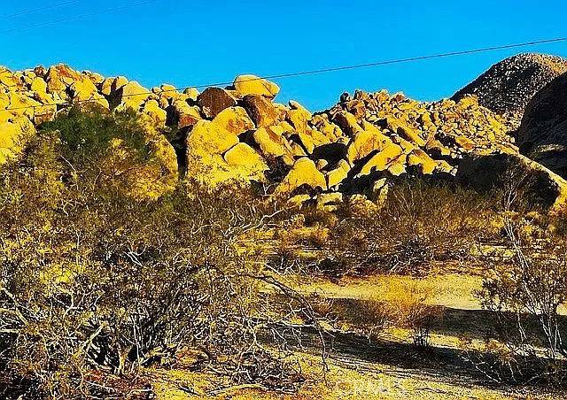 Joshua Tree, CA 92252,66058 Foothill Drive