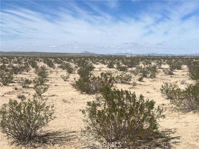 Twentynine Palms, CA 92277,0 Pampas Avenue