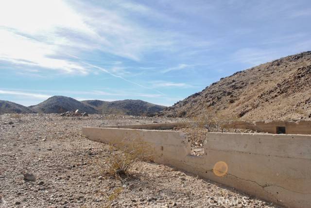 Twentynine Palms, CA 92277,0 Doberman