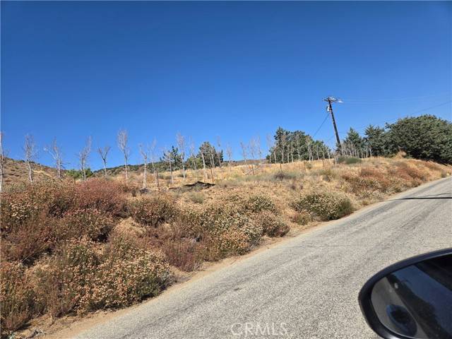 Leona Valley, CA 93551,9197 Northside Drive