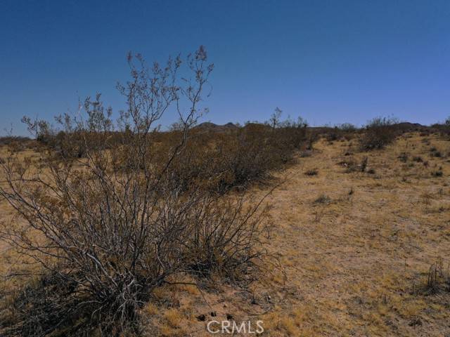 Yucca Valley, CA 92284,0 Hondo Street