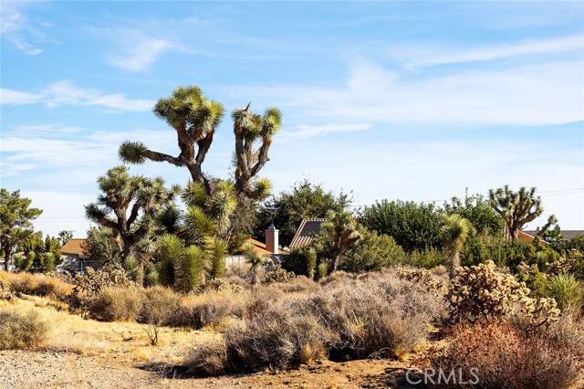 Yucca Valley, CA 92284,0 San Diego Drive