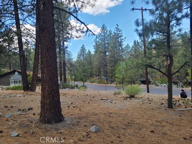 Wrightwood, CA 92397,0 Lodgepole Drive