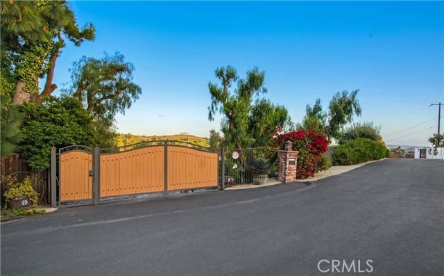 San Juan Capistrano, CA 92675,29546 Spotted Bull Lane