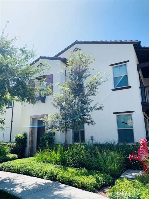 Irvine, CA 92620,148 Damsel