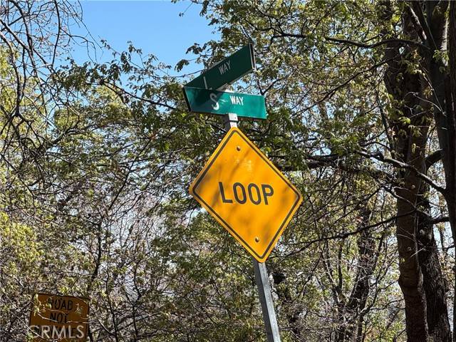 Lake Arrowhead, CA 92352,1684 L Way