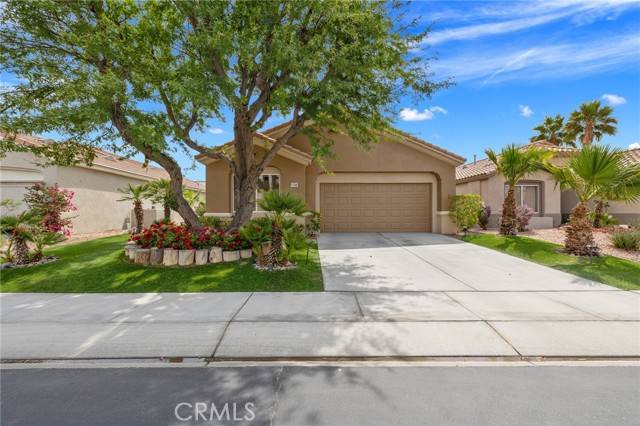 Palm Desert, CA 92211,37388 Medjool
