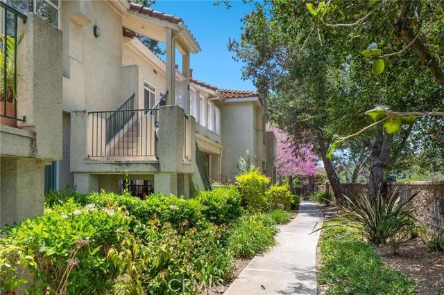 Aliso Viejo, CA 92656,209 Cinnamon Teal