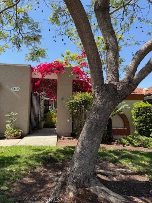Laguna Woods, CA 92637,5105 Despacio