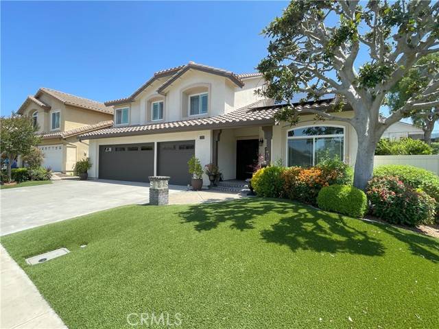 Aliso Viejo, CA 92656,17 Thornbird