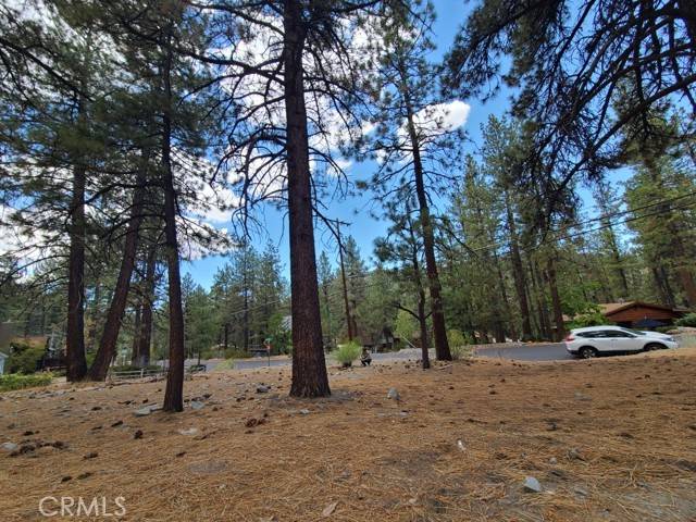 Wrightwood, CA 92397,0 Lodgepole Drive