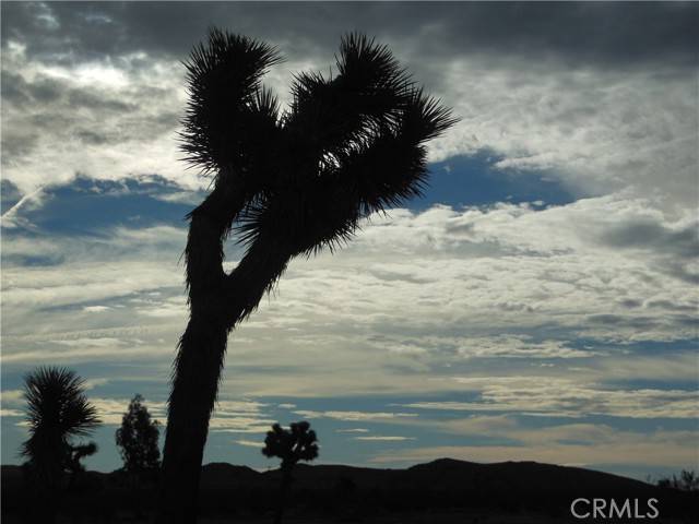 Landers, CA 92285,6113 Napa (@ Rainbow)