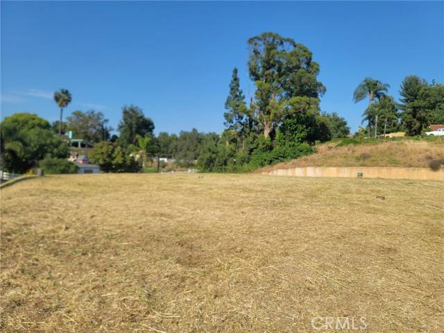 Yorba Linda, CA 92886,4960 Yorba Vista Lane