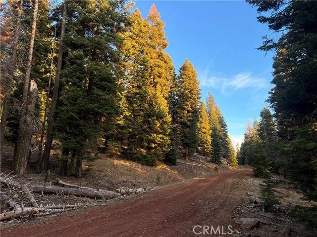 Alturas, CA 96101,0 S. Ozite Road