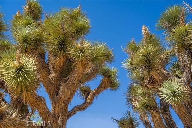 Yucca Valley, CA 92284,56488 El Dorado Drive