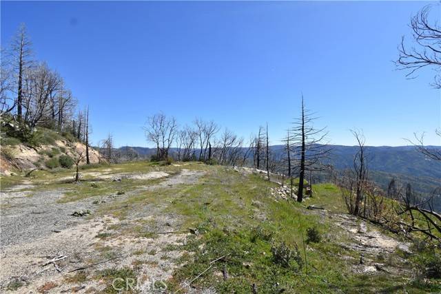 Berry Creek, CA 95916,151 Tipsoo Peak Road